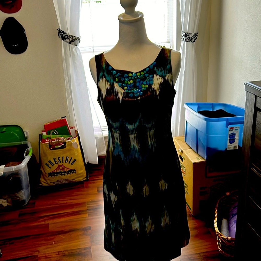 No need for a necklace with this fully lined Banana Republic dress